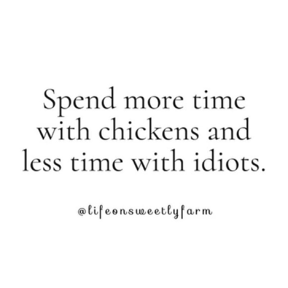 ANTONIAV IS LIVE 🌈 - Picture 13 of 16